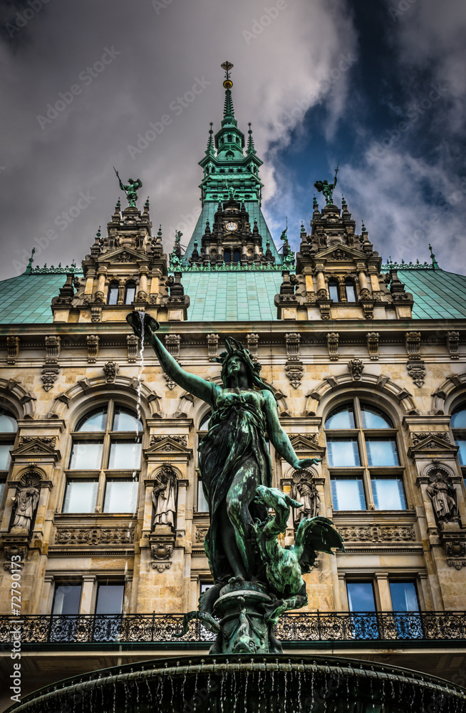 Fototapeta premium Rathaus Hamburg Innenhof