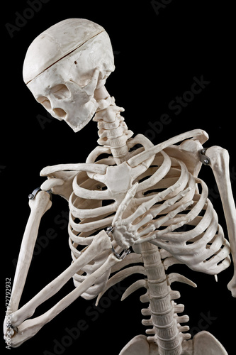 Human skeleton toy