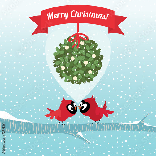 Birds kissing under a branch of mistletoe Christmas
