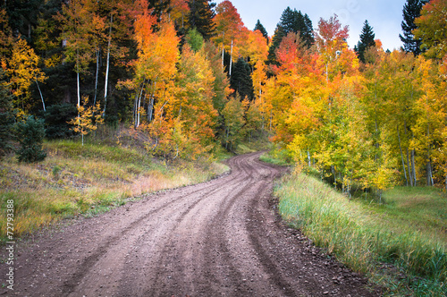 autumn road © tharathepptl