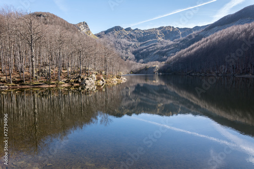 montagna e alberi riflessi nel lago