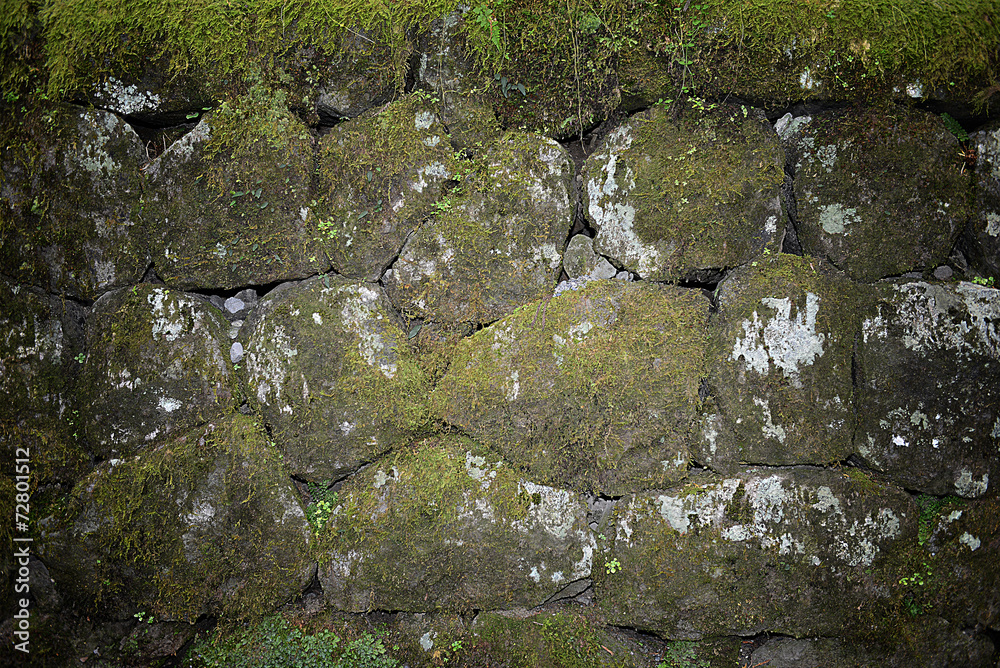 stone wall texture photo for Background