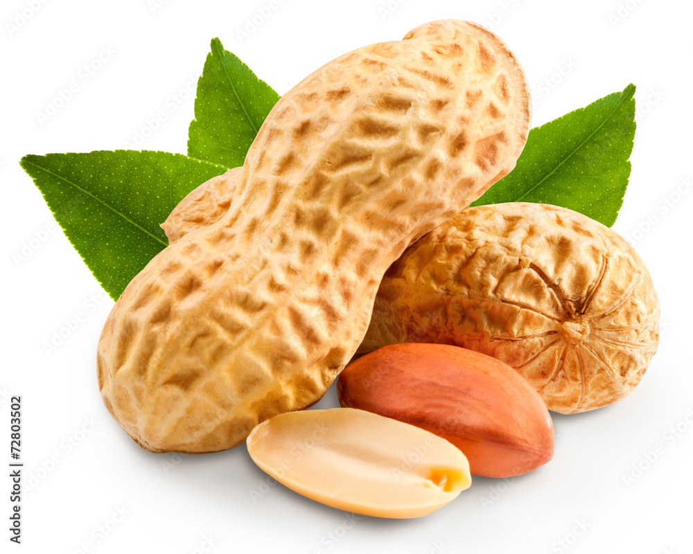 Peanuts Stock Photo Adobe Stock
