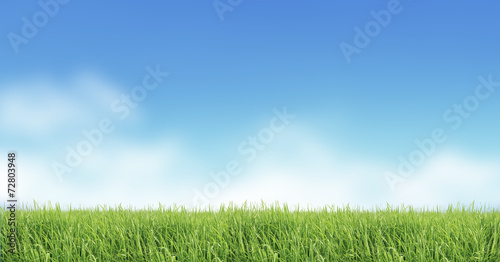 nature  background image