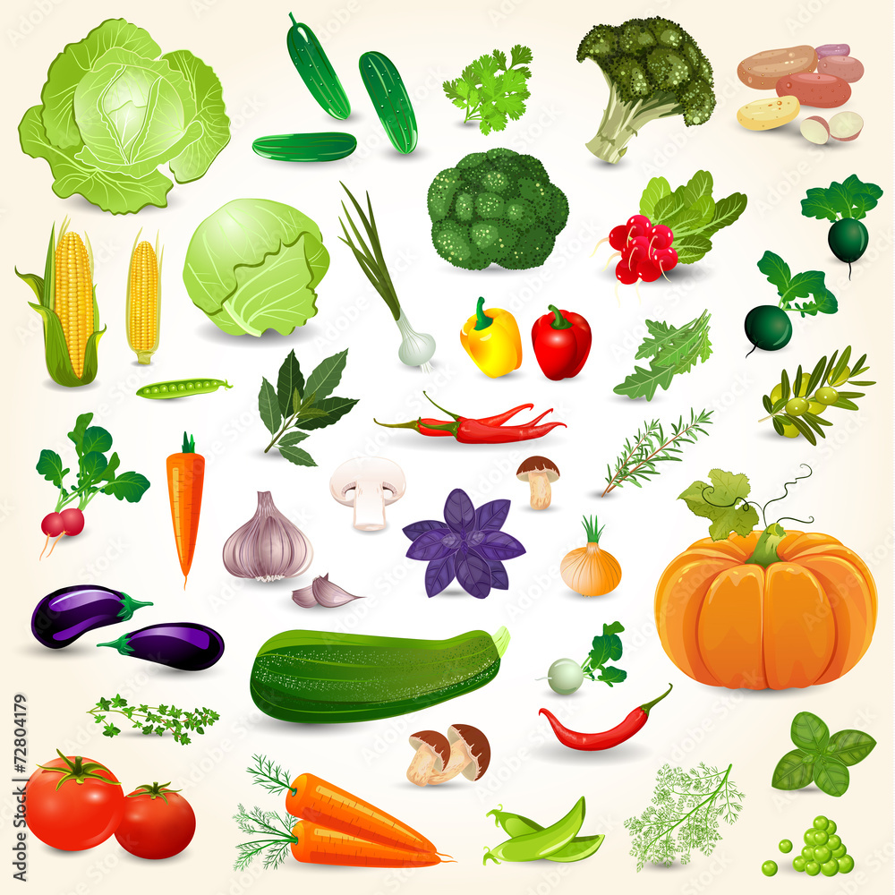 Collection of isolated ripe vegetables herbs and spices mushroom