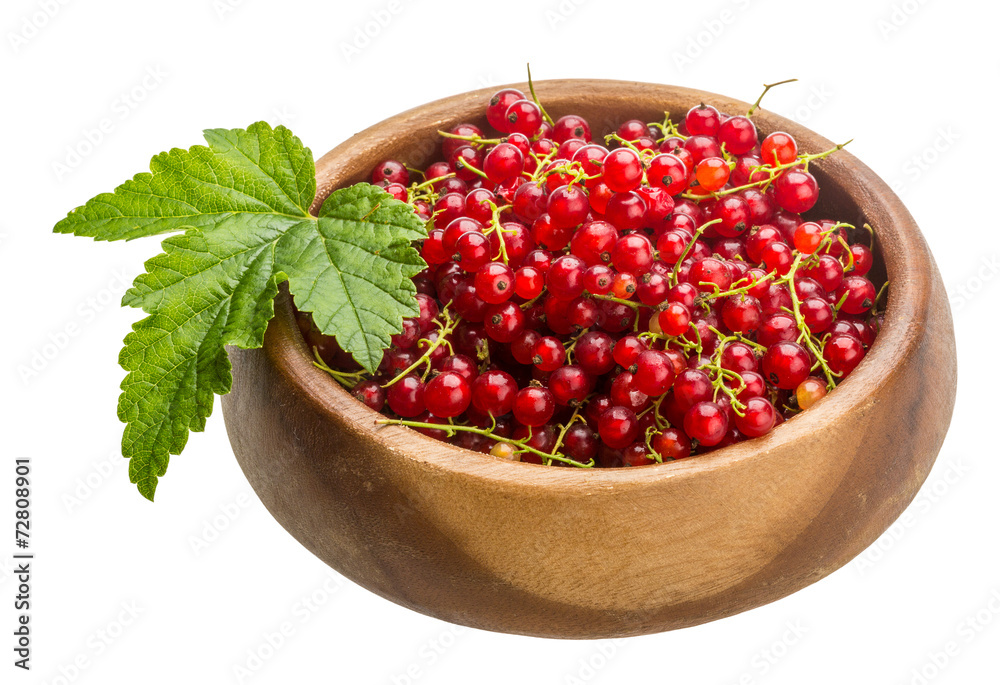 Red currant Red currant