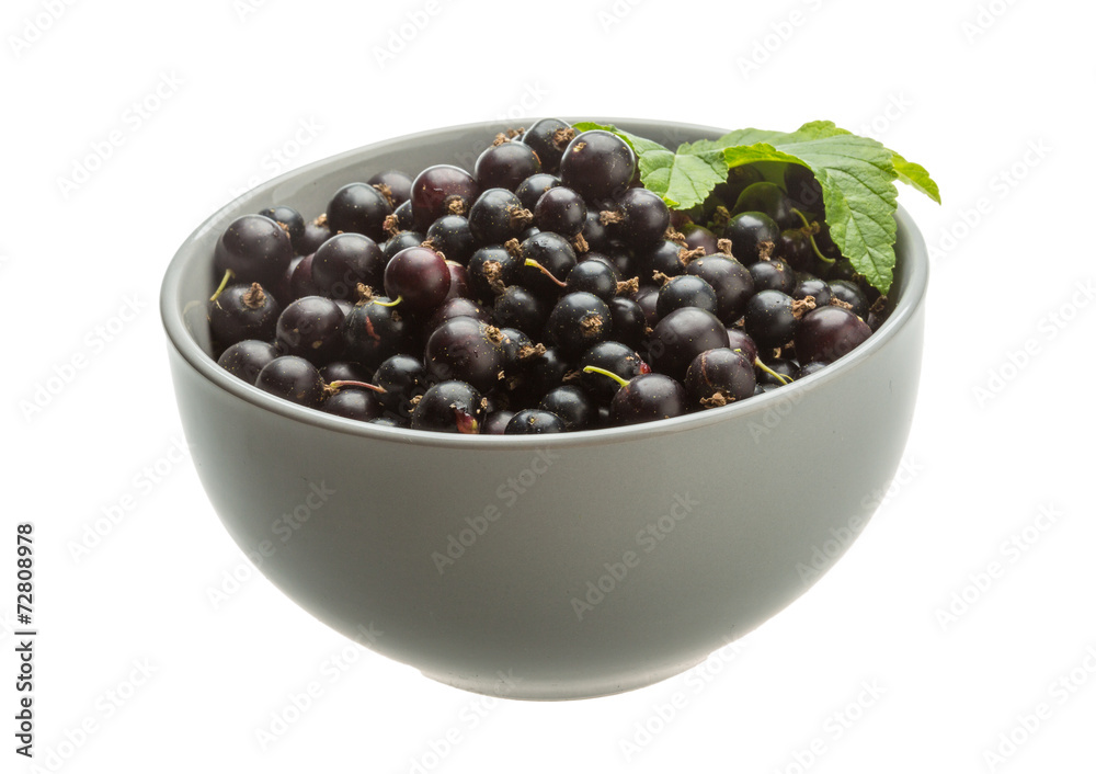 Black currant Black currant