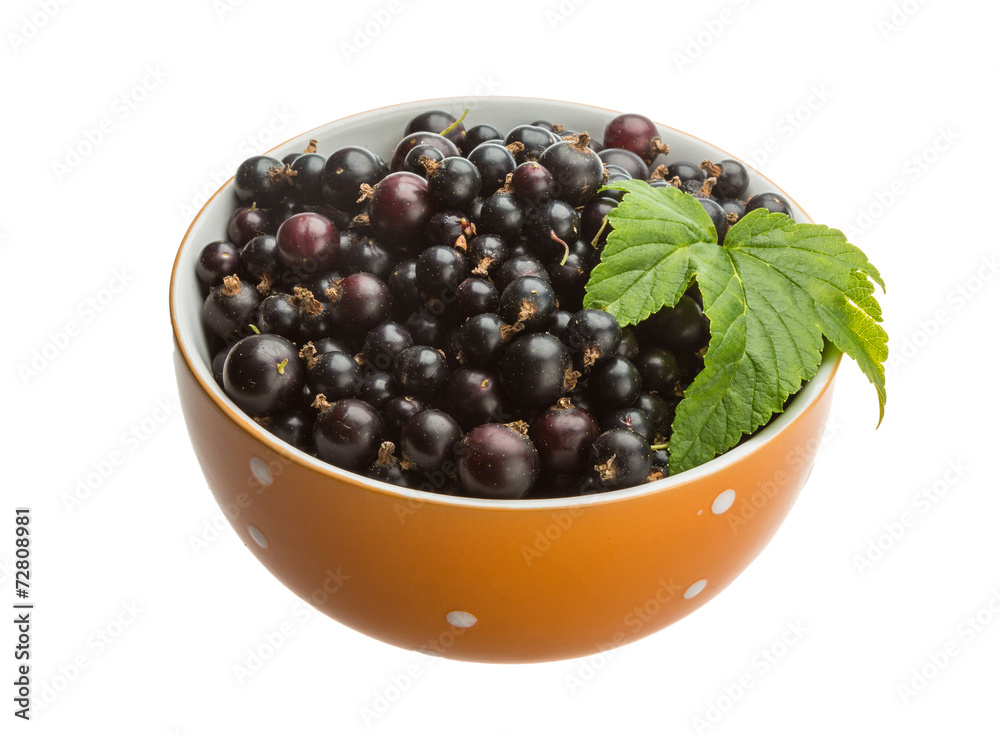 Black currant Black currant