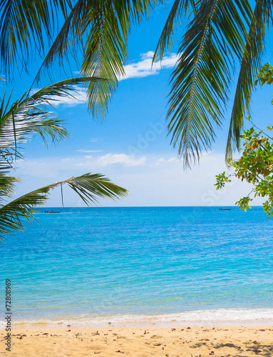Exotic Paradise Coconut Getaway