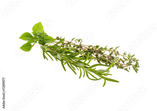 Fresh aroma herbs