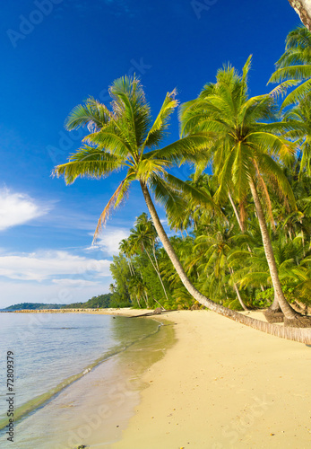 Beautiful Beach Coconut Coast © alma_sacra