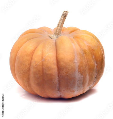small ripe pumpkin on a white background