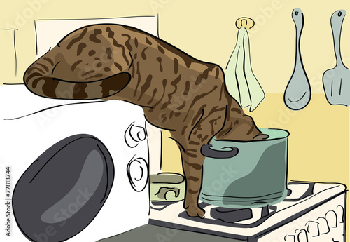 cat stealing food at the kitchen