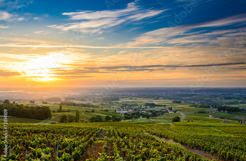 Sunrise at Beaujolais vineyard photo