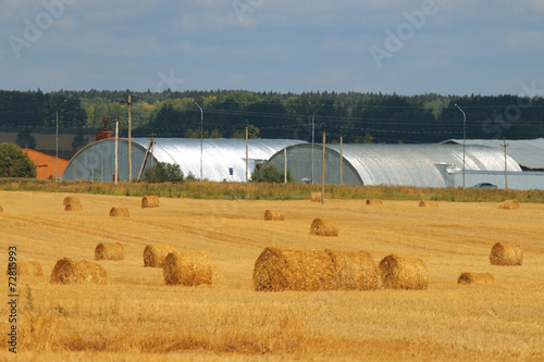 twist hay field cleaning photo