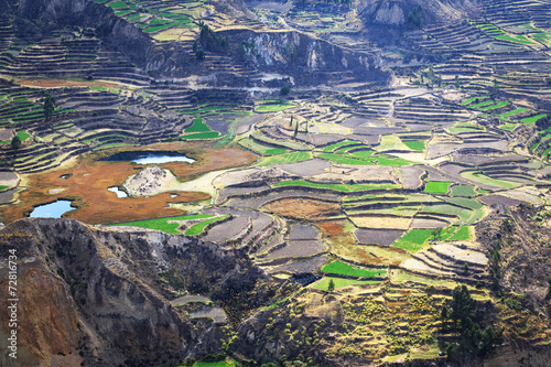 The canyon Colca is the deepest in the world photo