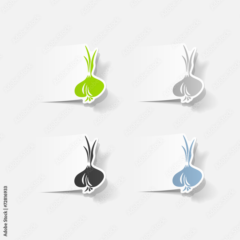 realistic design element: onion realistic design element: onion