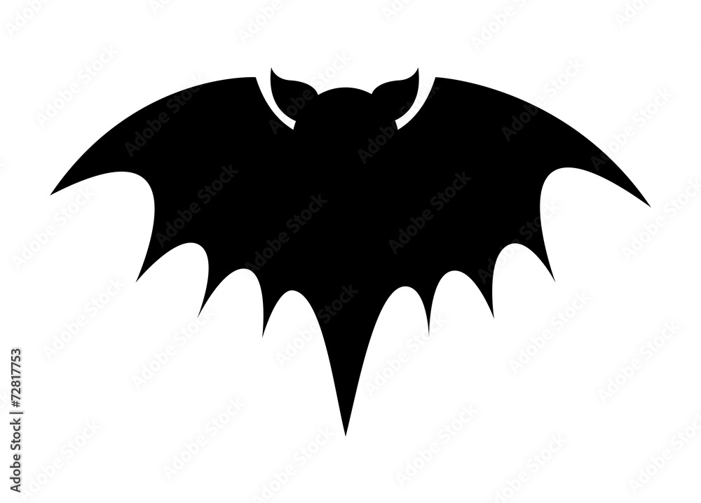 Fototapeta premium Vampire Bat Animal