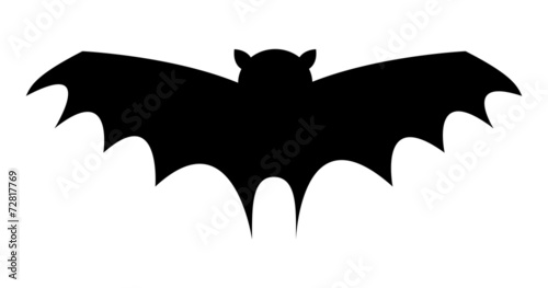 Bat Bird Flying Shape