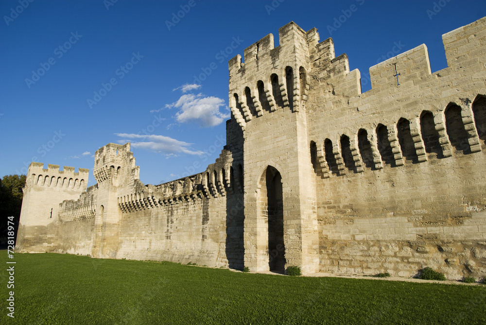 The Avignon city-walls