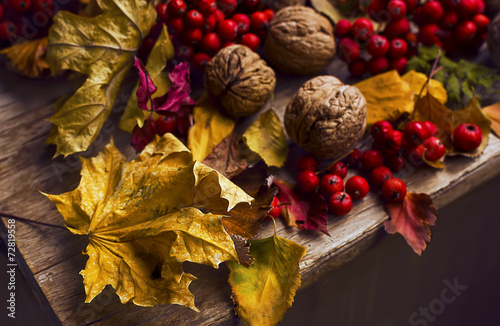 Autumn leaves, walnuts and ashberries on the wooden table photo