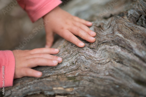 老木を触る子供の手