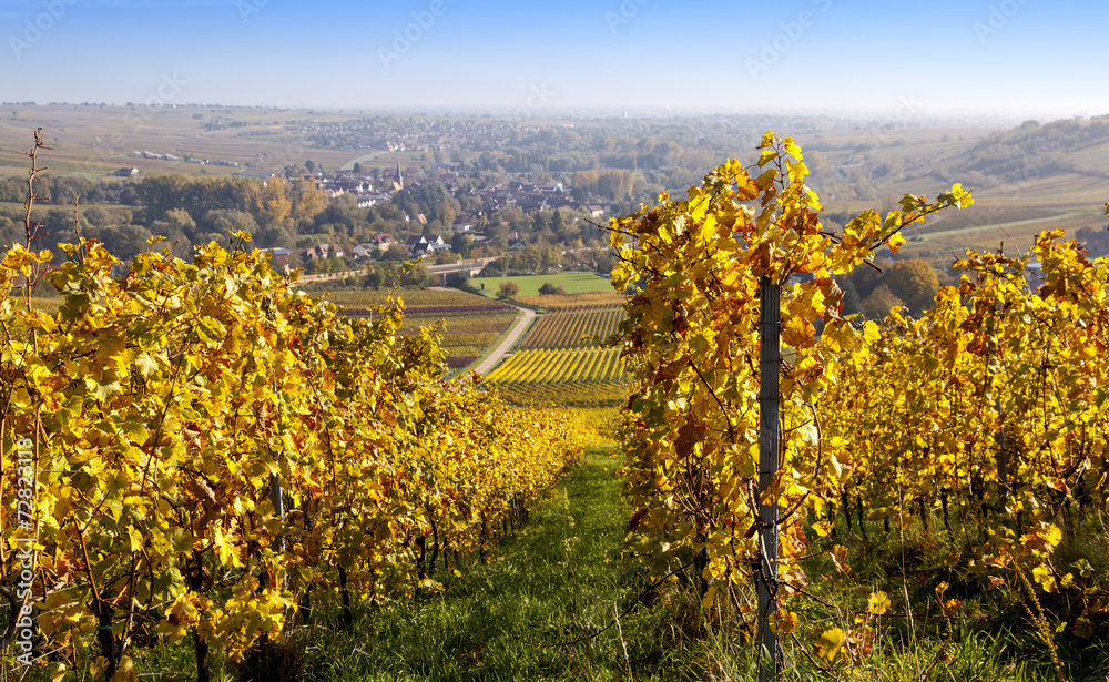 Fototapeta premium Blick in die Rheinebene