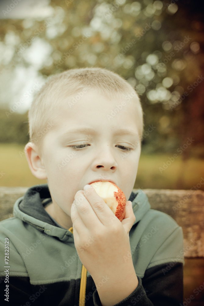 small boy eating apple in the park small boy eating apple in the park