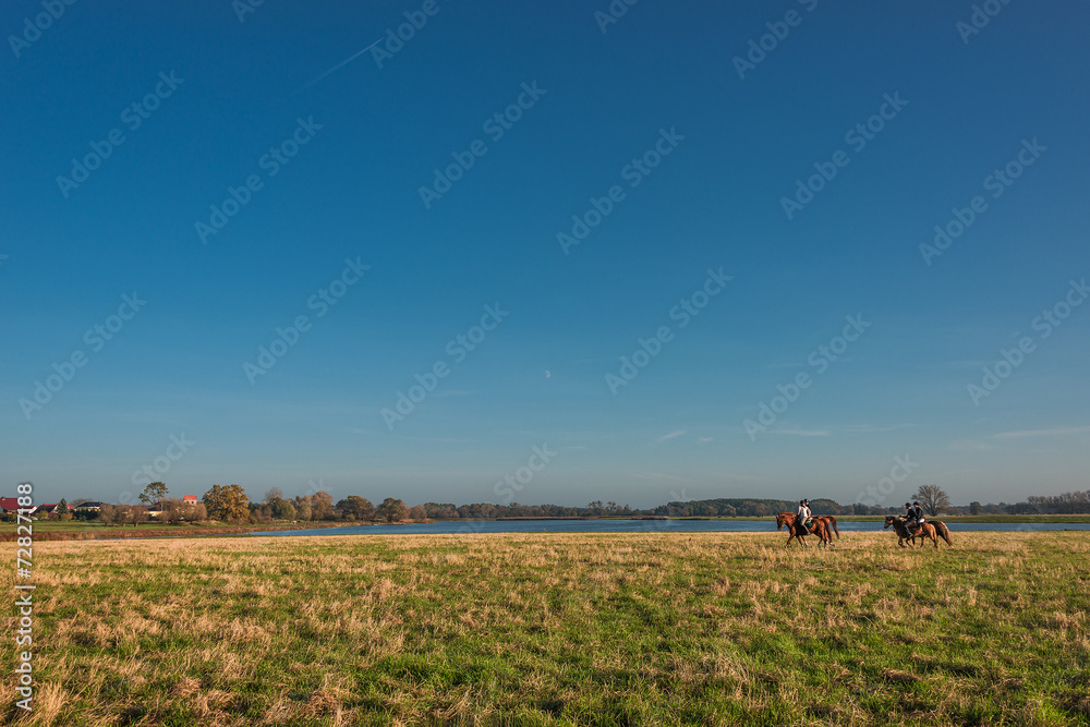 Fototapeta premium Horsemen in the golden field of grass, Autumn