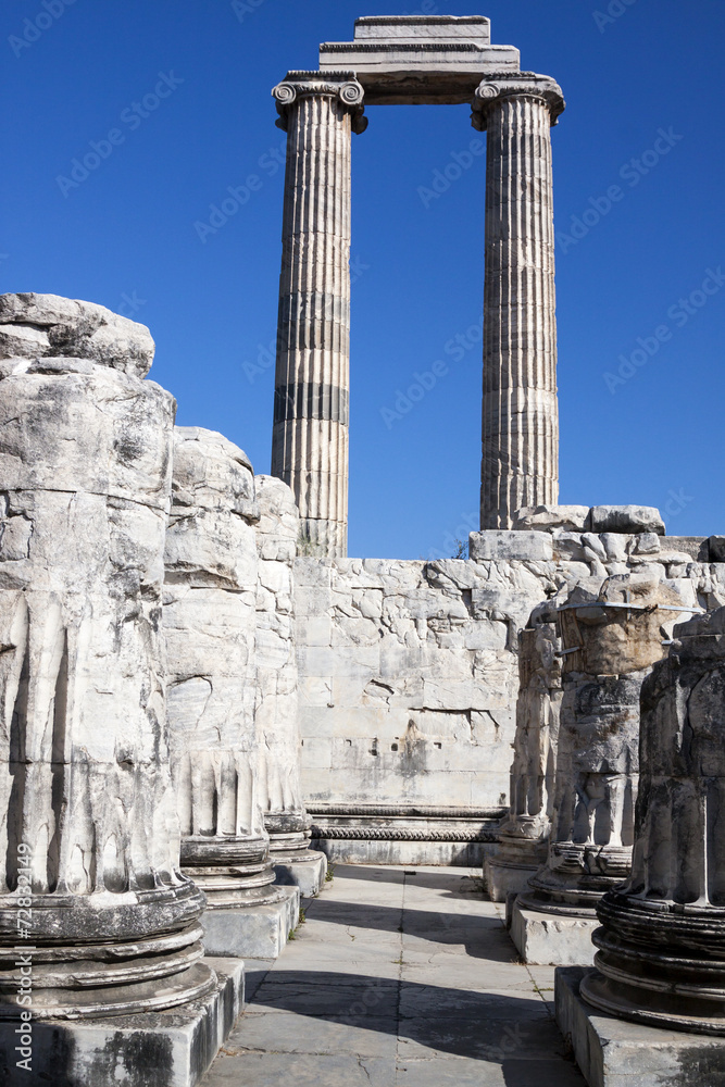 Temple and Oracle of Apollo in Didyma