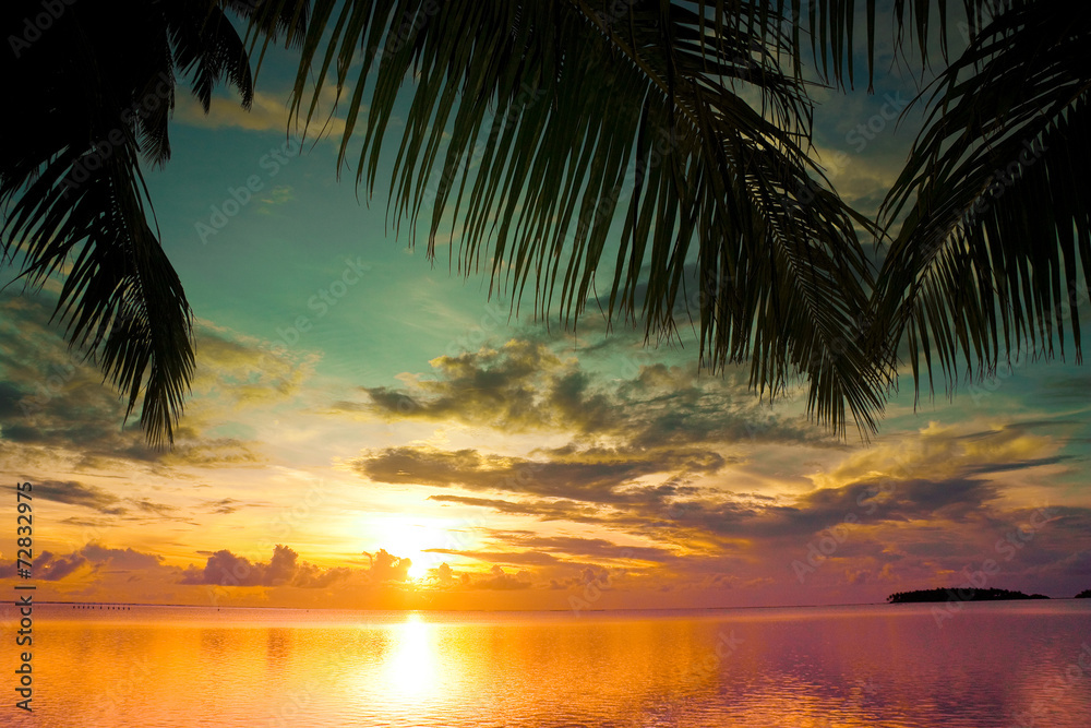 Sunset between Palms
