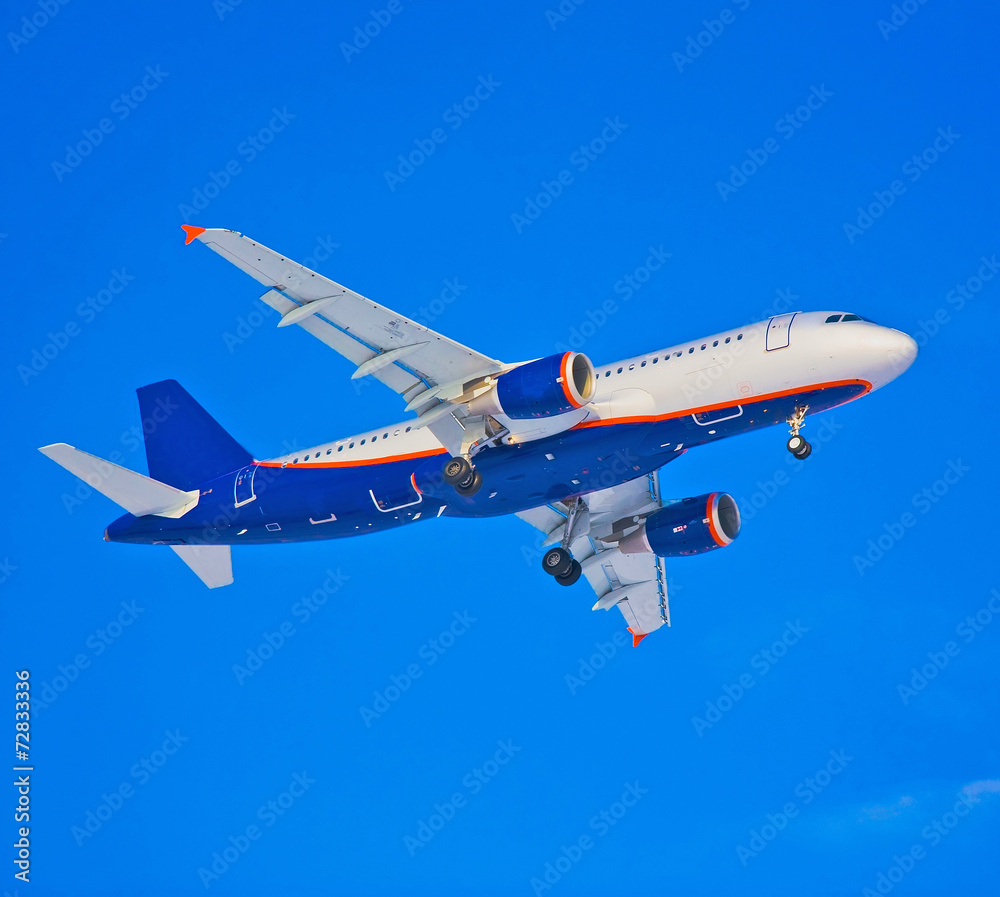 Obraz premium plane