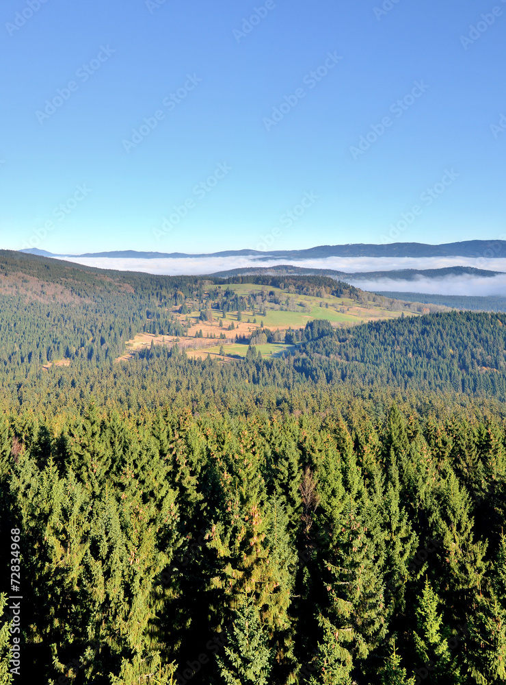 landscape with morning fog in the valley