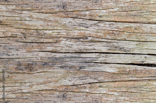 Old cracked wood grain texture background