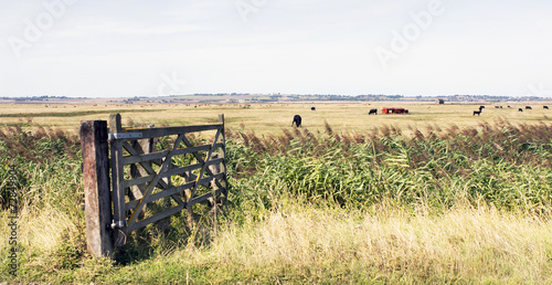 kent countryside uk farm land