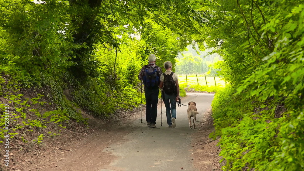 Senior couple hiking with dog in nature Senior couple hiking with dog in nature