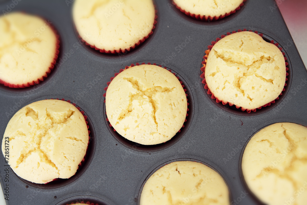 Overhead view of vanilla cupcakes cooling in a tray Overhead view of vanilla cupcakes cooling in a tray