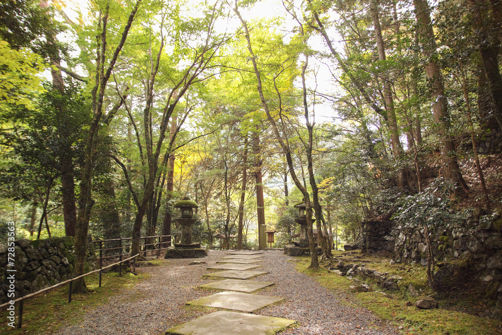Fototapeta premium 嵐山 高雄 高山寺