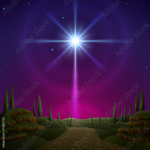 Star of Bethlehem photo