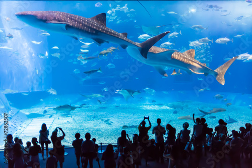 水族館