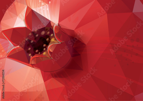 Pomegranate background. Low-poly triangular style