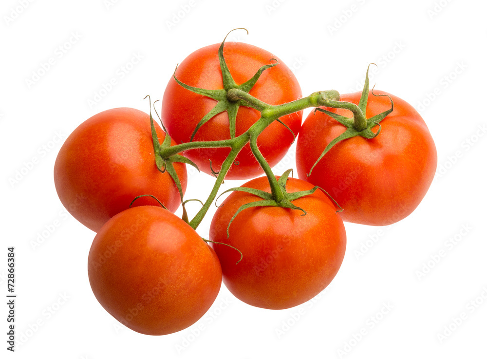 Tomatoes on the branch Tomatoes on the branch