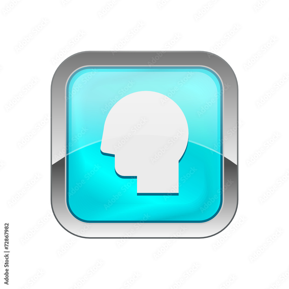 Glossy Vector Icon Glossy Vector Icon