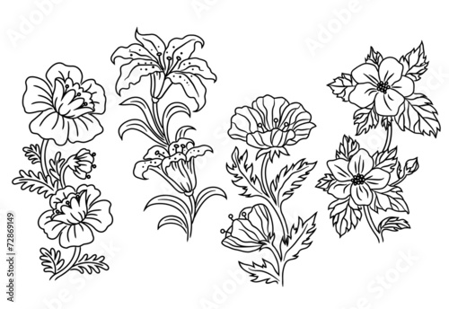 Fototapeta Naklejka Na Ścianę i Meble -  Black and white outline summer flowers