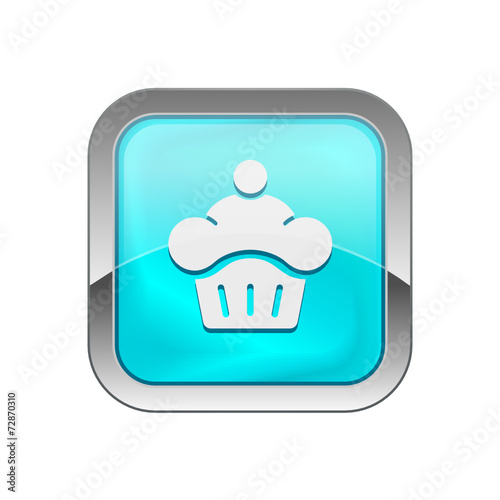 Glossy Vector Icon 