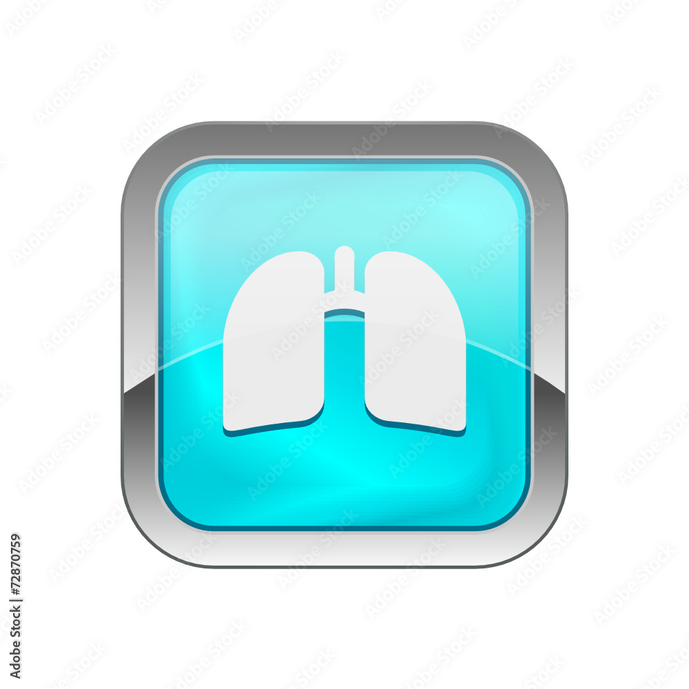 Glossy Vector Icon Glossy Vector Icon