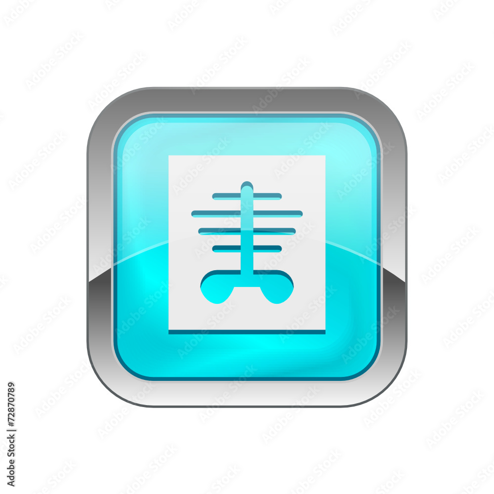 Glossy Vector Icon Glossy Vector Icon