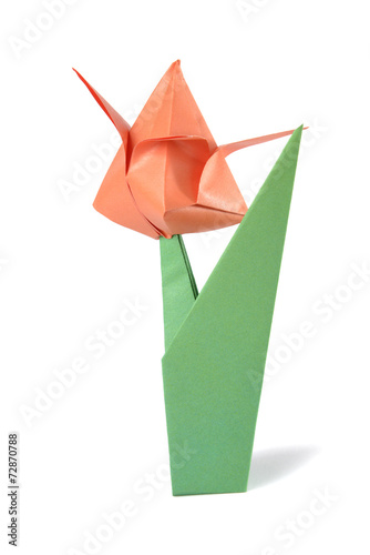 Origami tulip isolated over white backgrîund