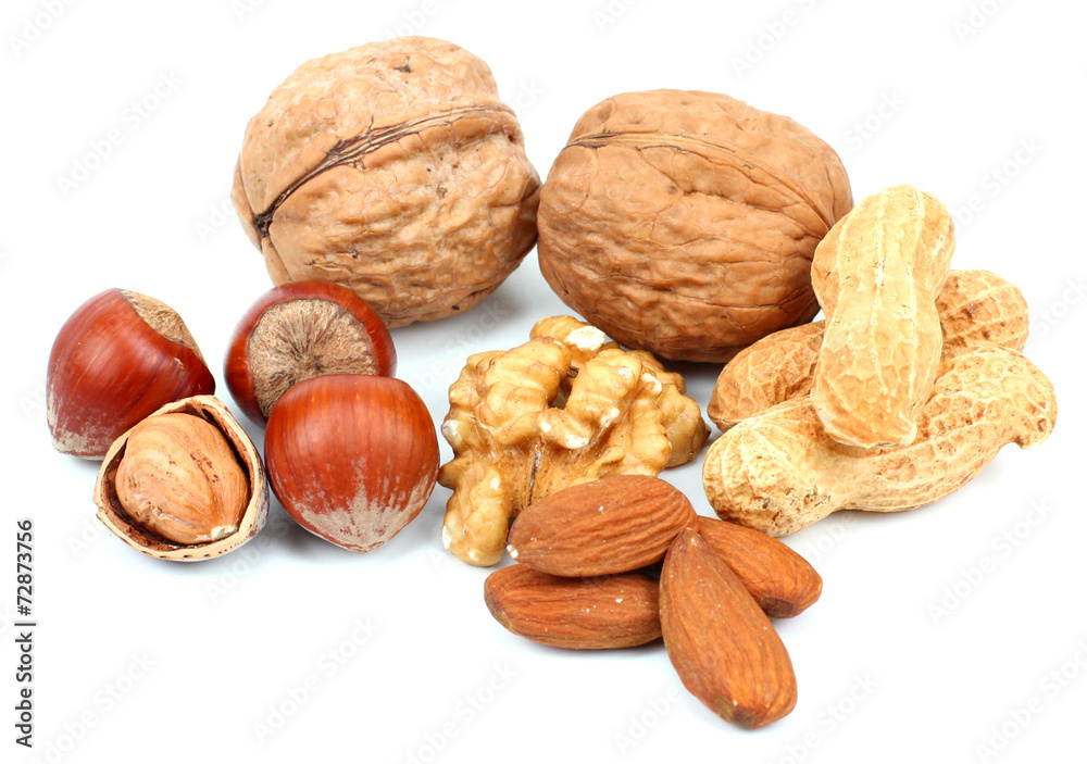 Close up of fresh walnuts and hezelnuts against white background Close up of fresh walnuts and hezelnuts against white background