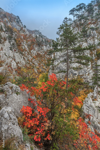 Tasnei Gorge, Romania photo